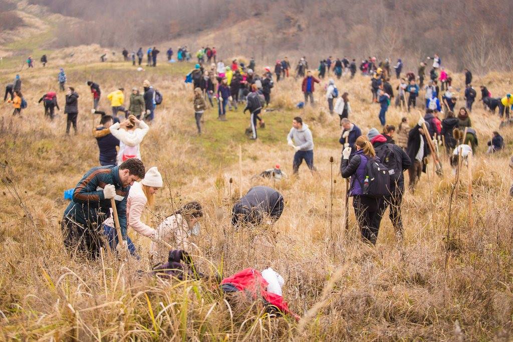 Plantam fapte bune in Romania