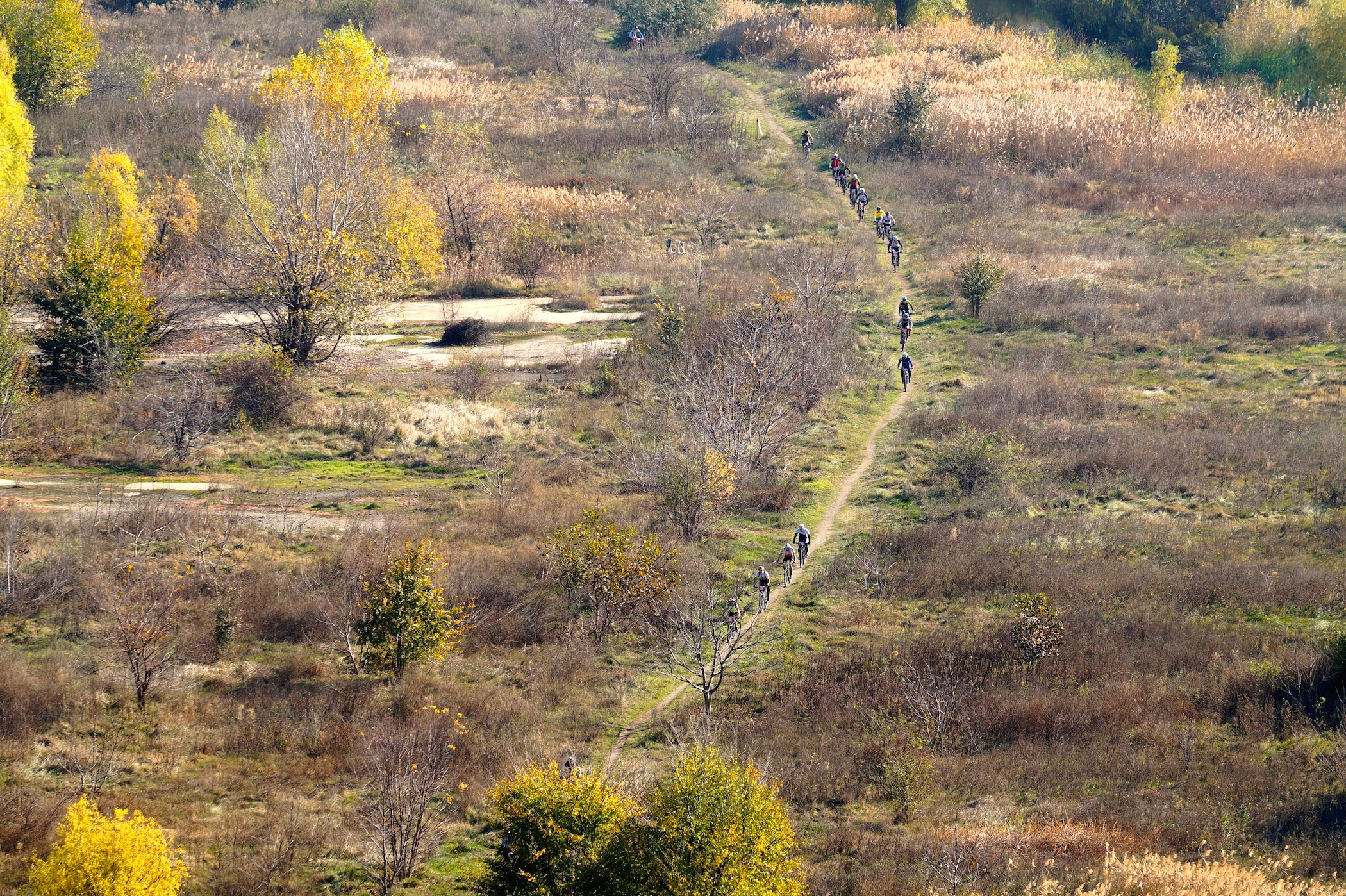 Administrarea Parcului Natural Vacaresti