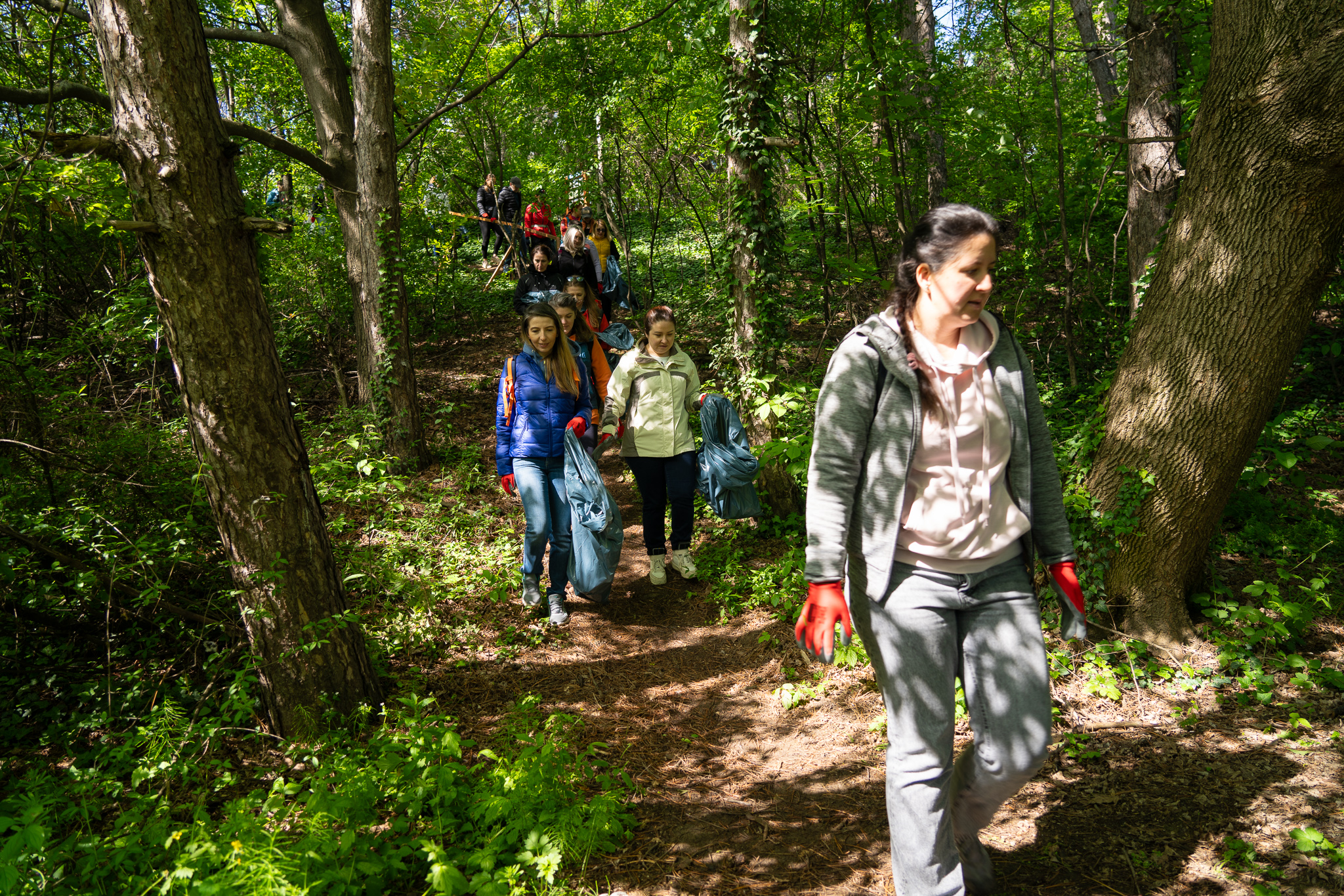 Natura dintre Blocuri. Pajiștea Petricani
