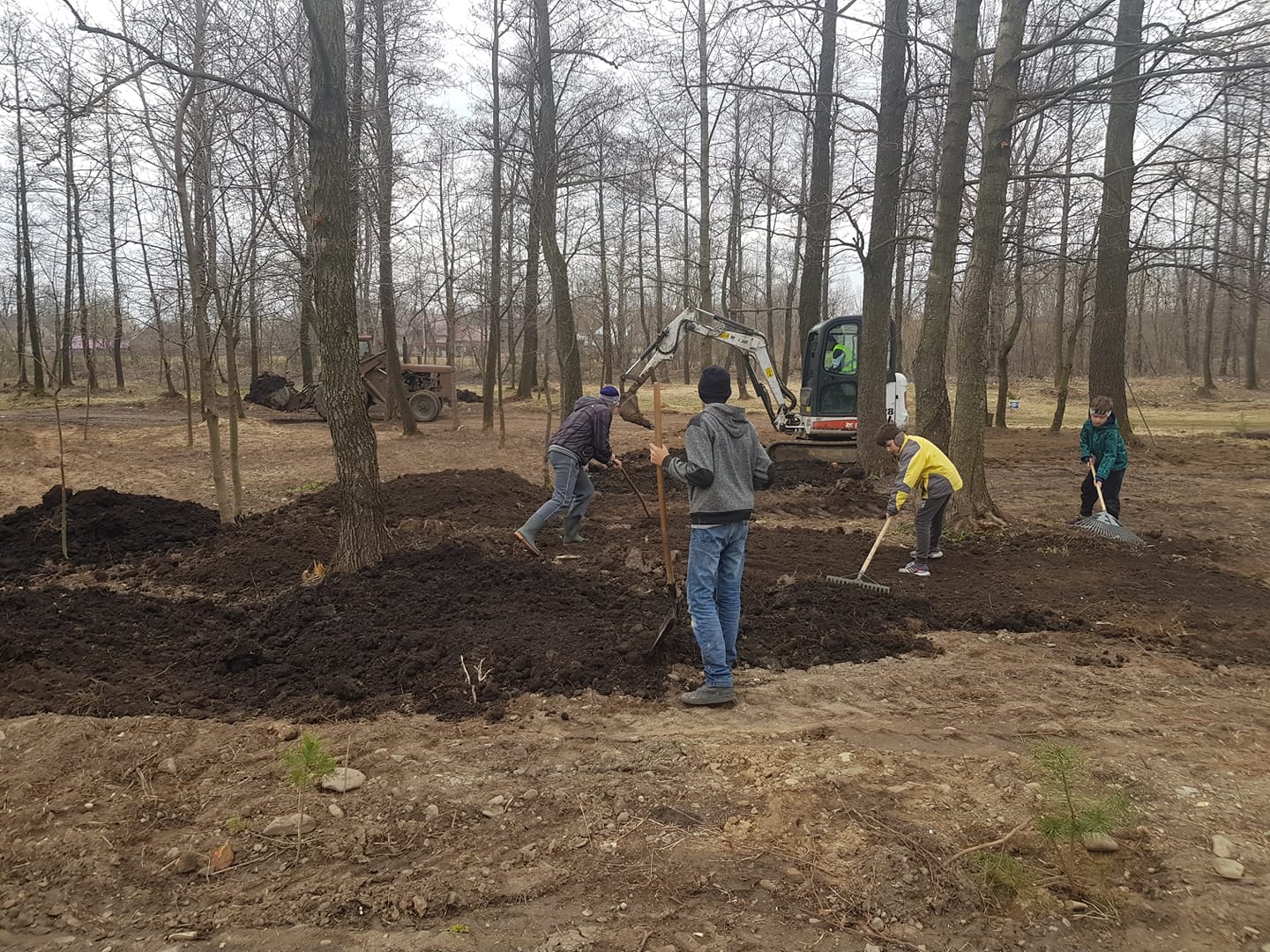 Parcul Prieteniei - povestea construirii unui parc de la zero, de către cetățenii comunei