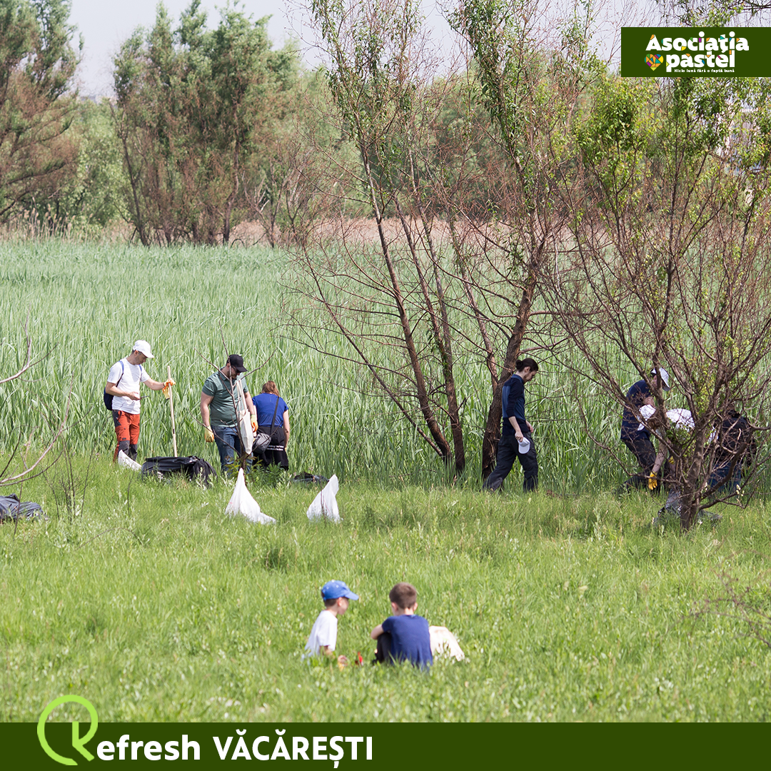 Refresh Văcărești