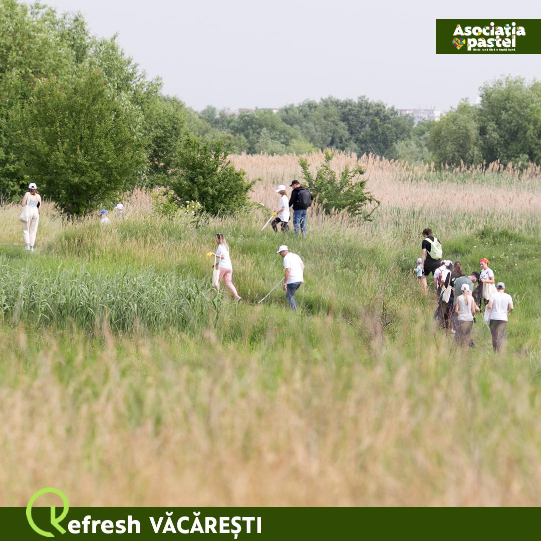 Refresh Văcărești