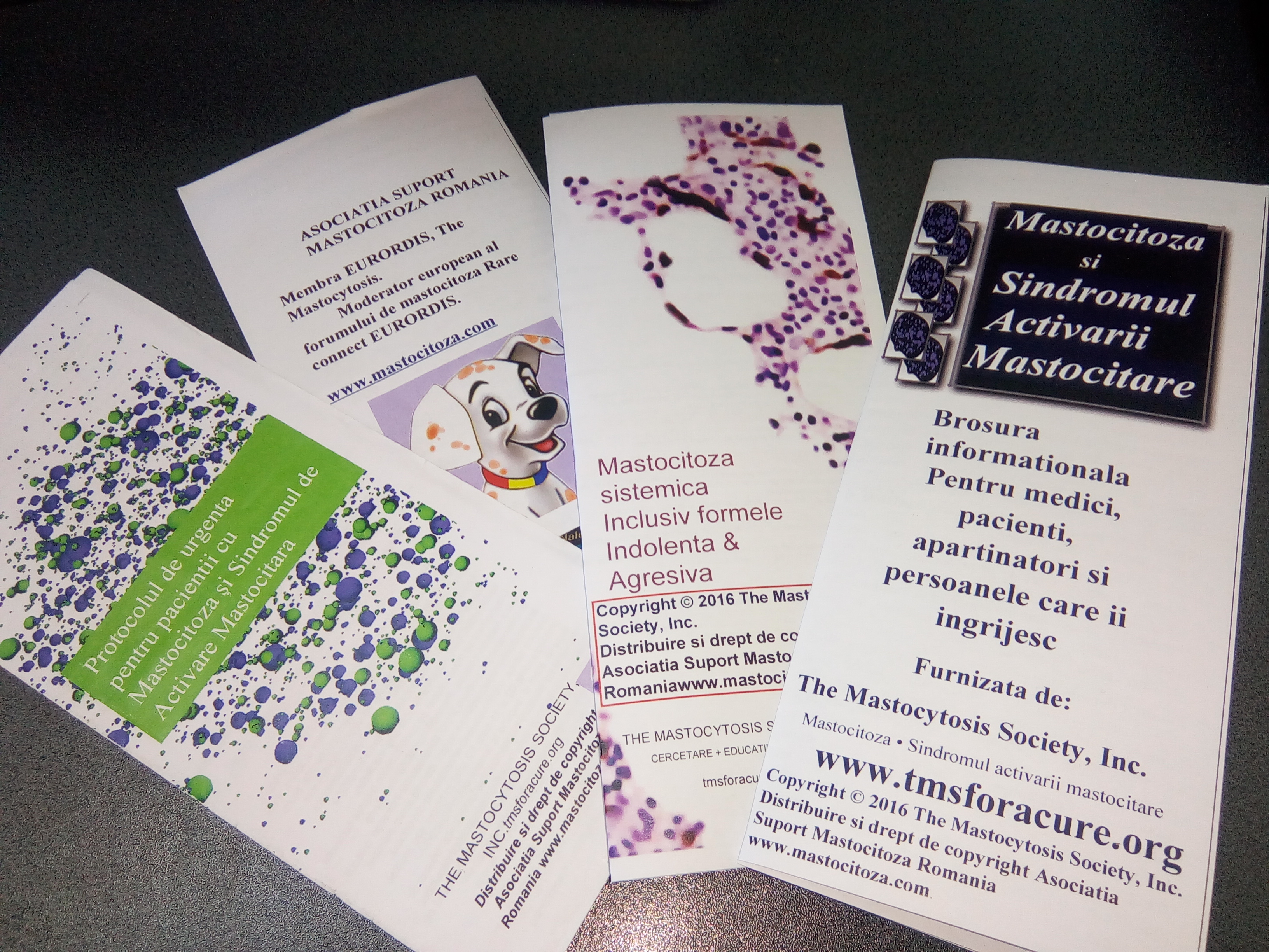 Testare genetica pentru tratamente personalizate in mastocitoza