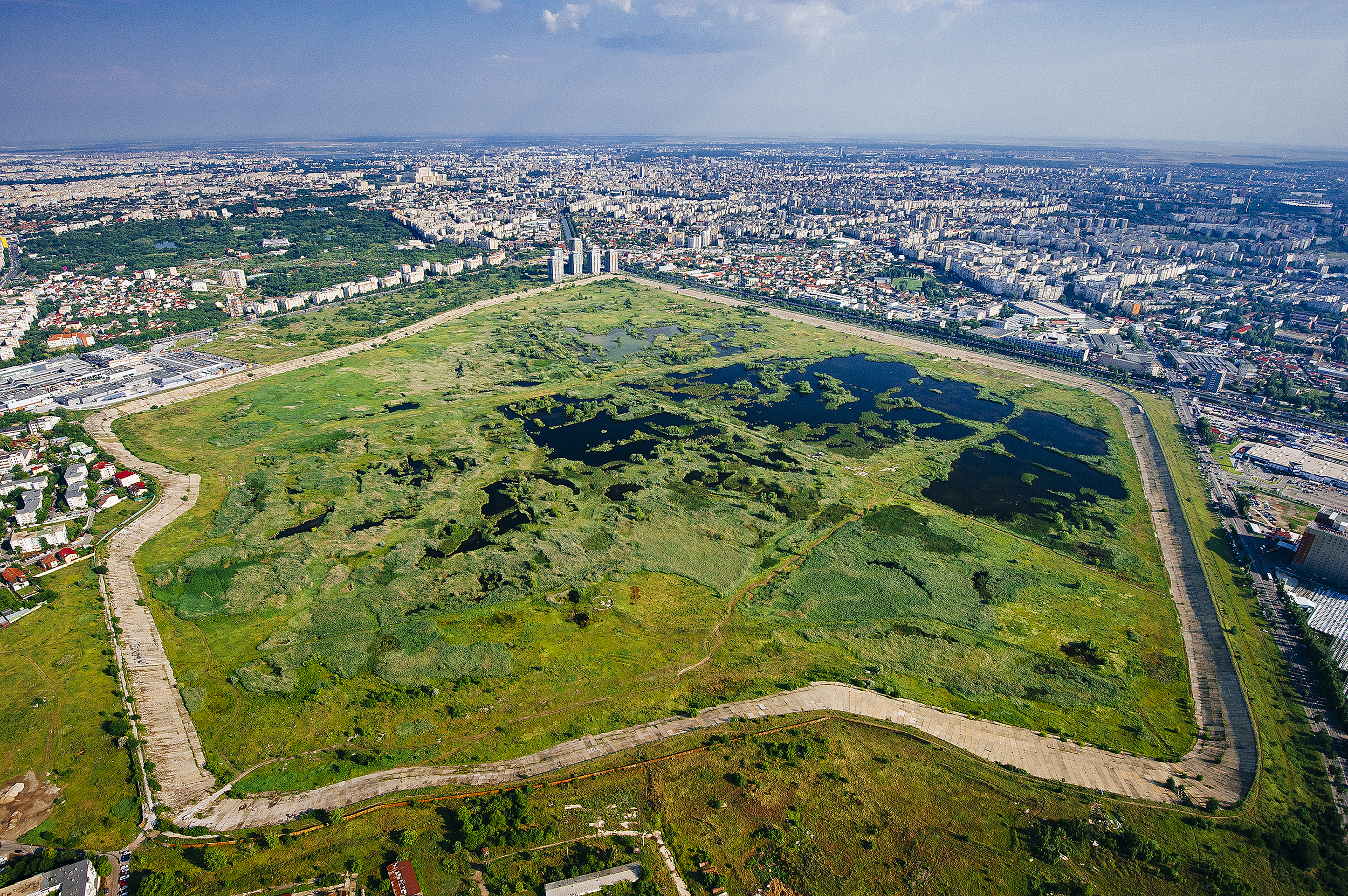 Parcul Natural Vacaresti - Campanie pentru infiintarea primului parc natural urban din Romania