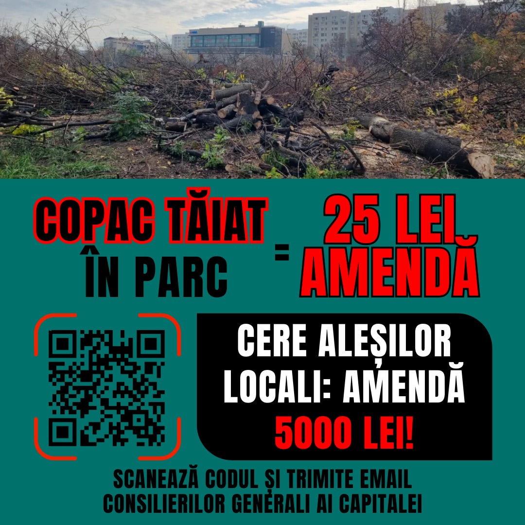 Campania civică pentru majorarea amenzilor la tăierea ilegală a copacilor din București