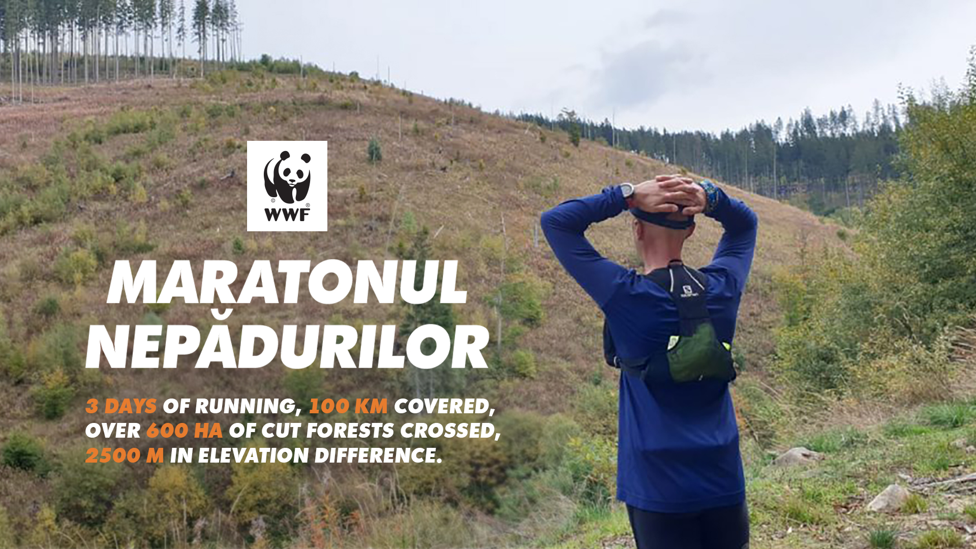 Maratonul NePădurilor