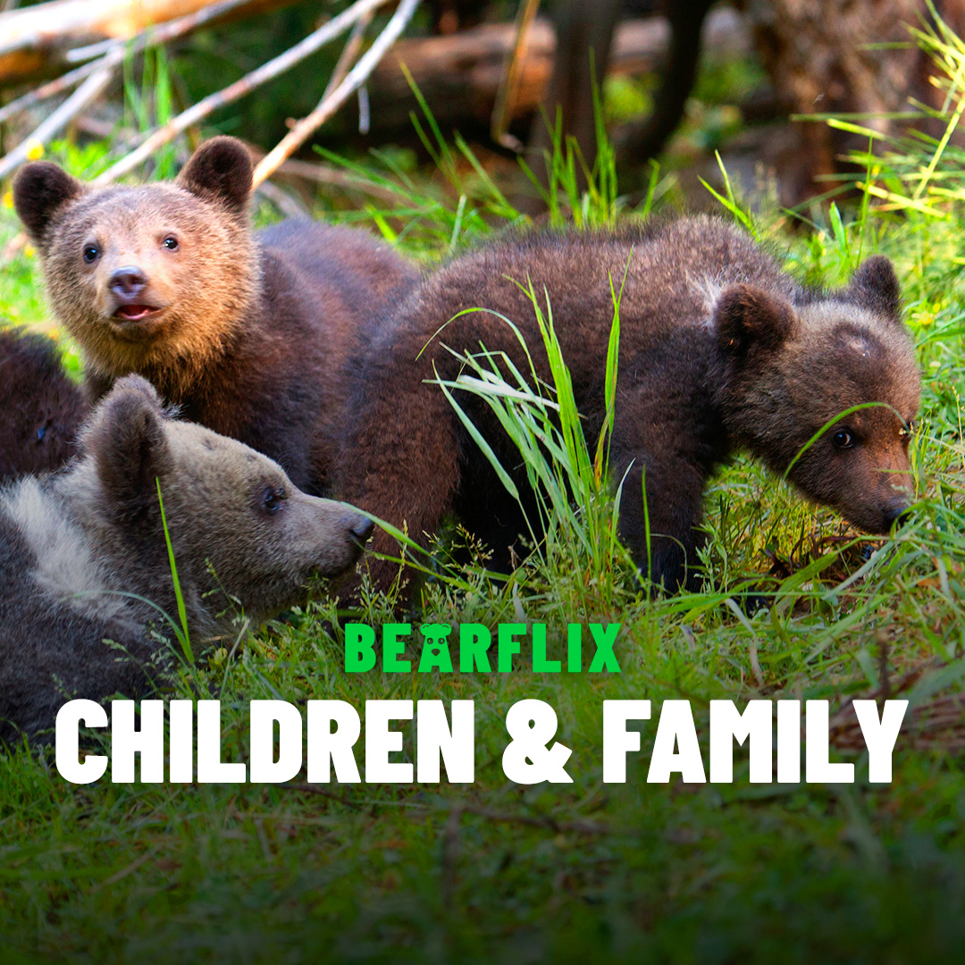 BEARFLIX