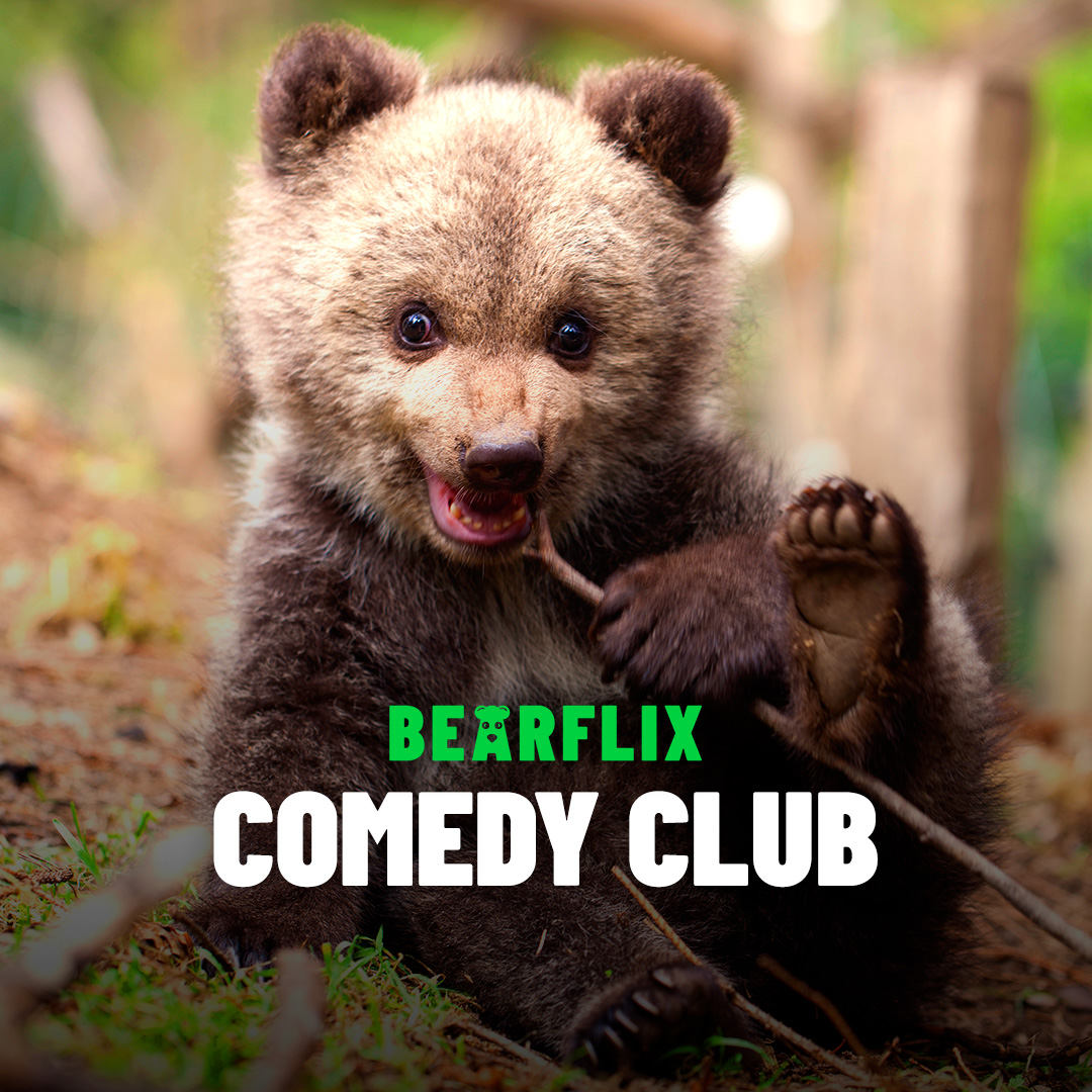 BEARFLIX