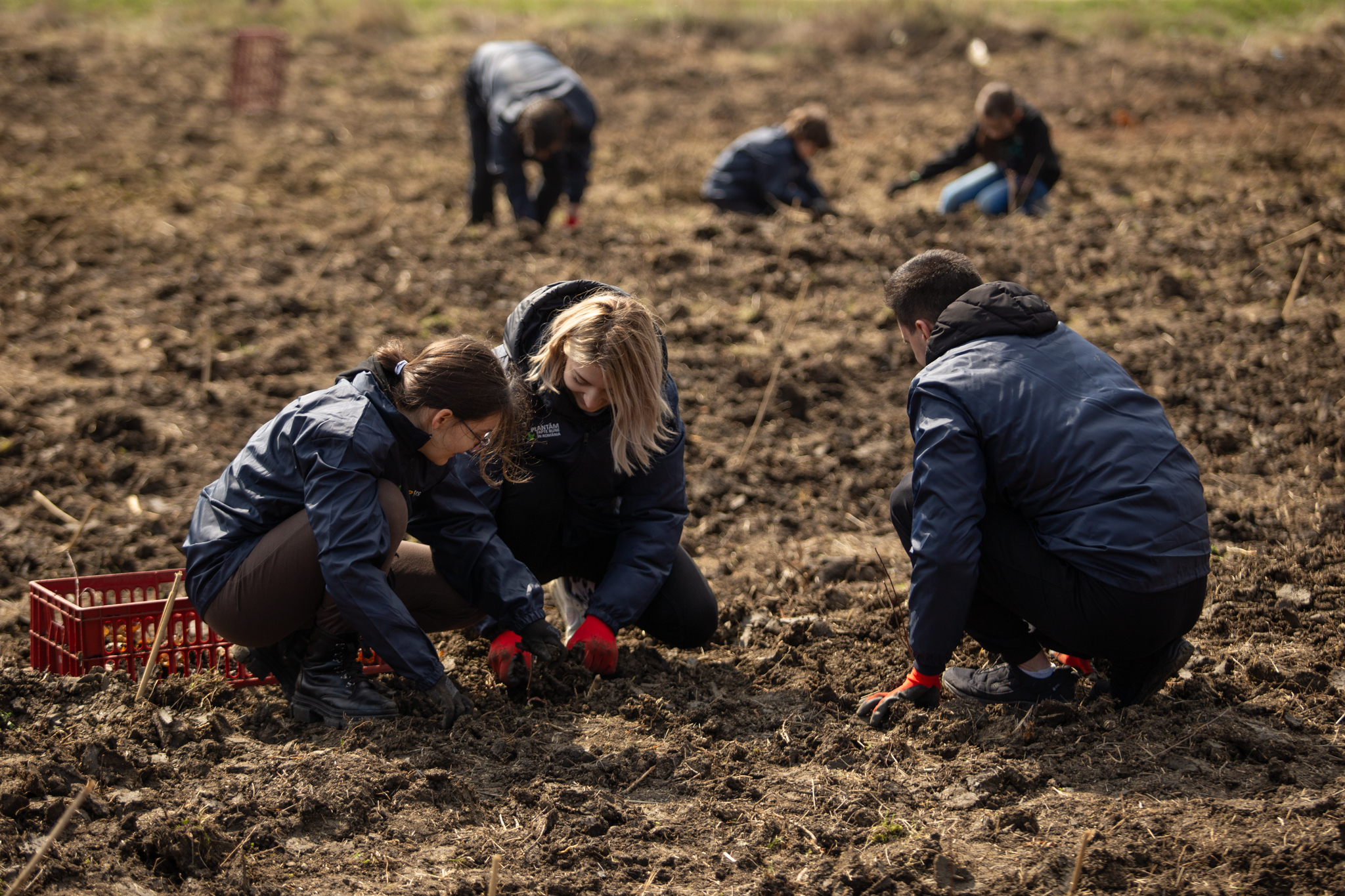 Studenții Plantează