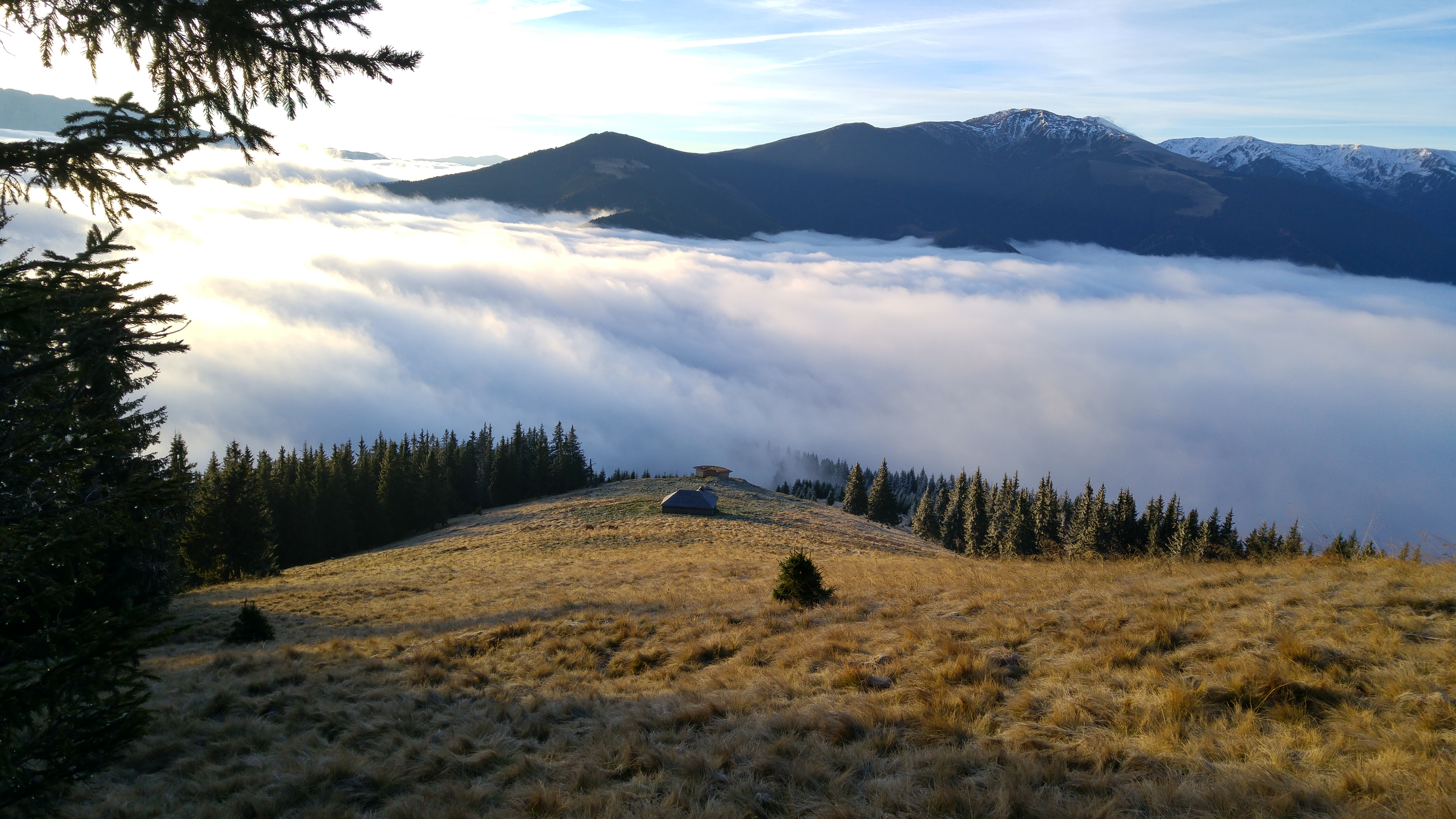 Muntii Fagaras - 2544 de motive sa ii protejezi!