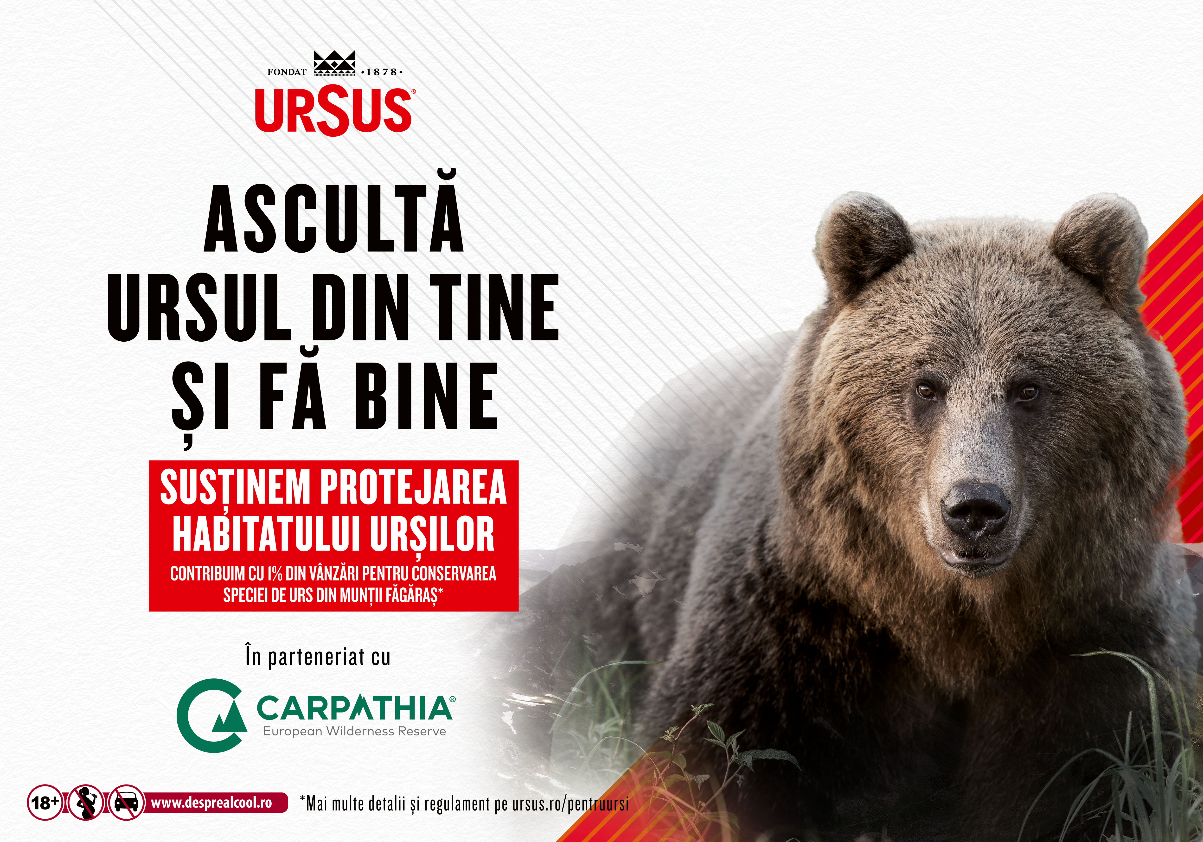 ASCULTĂ URSUL DIN TINE ȘI FĂ BINE