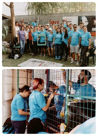 EAGivesBack 2019 – proiect de voluntariat corporatist