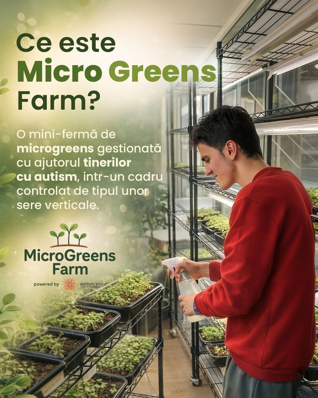 MicroGreensFarm – prima șansă la muncă pentru tineri cu autism
