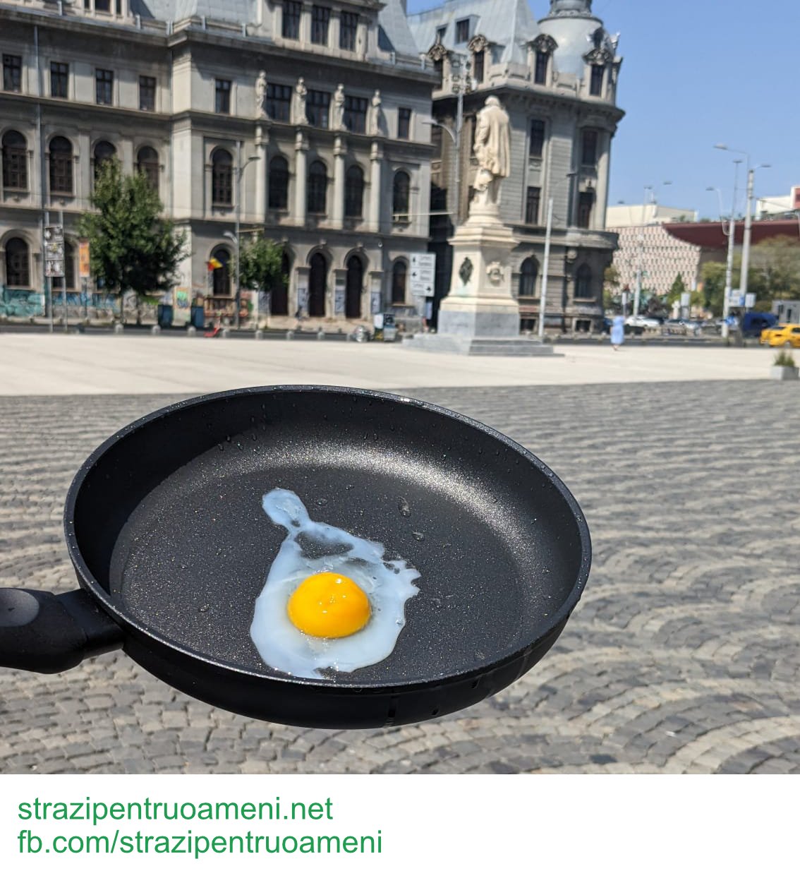 Coroană Verde pentru Regina Elisabeta