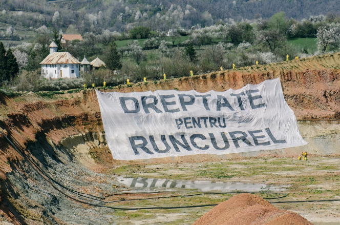 Profil de ONG: Greenpeace România