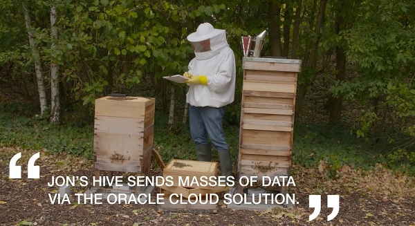 Oracle Cloud și proiectul „World Bee” lansează o rețea globală care folosește inteligența artificială (AI) pentru a monitoriza și a reduce declinul alarmant al populațiilor de albine