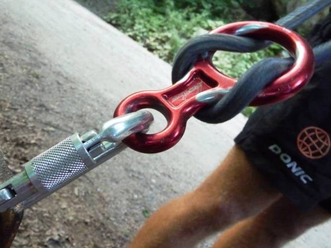 PRIMII PASI LA MUNTE