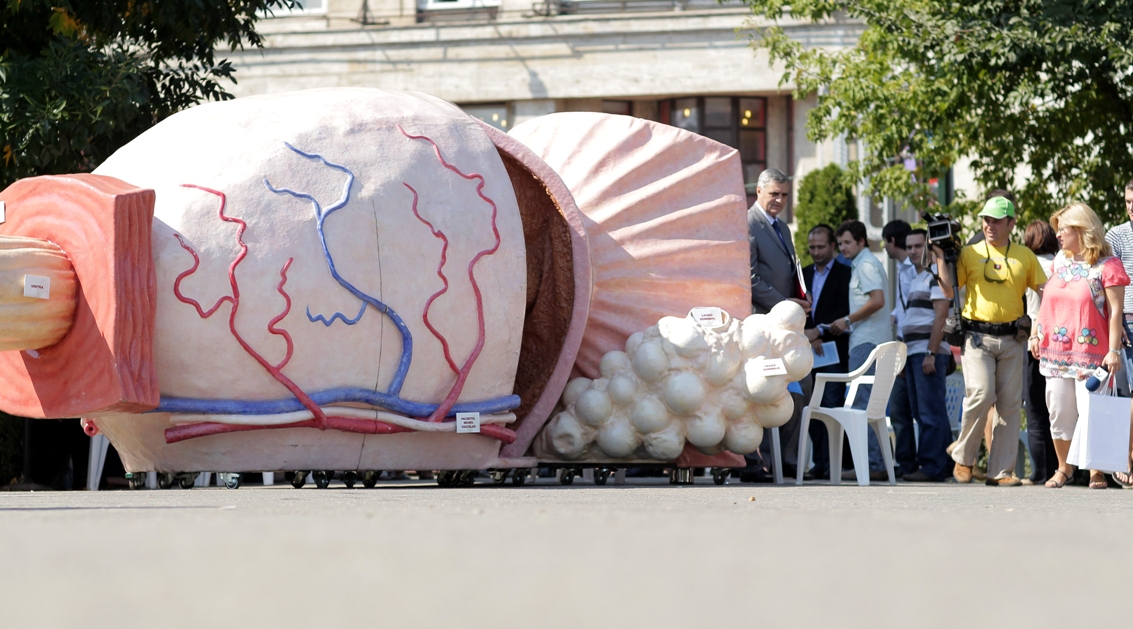 "Cand a ignora nu inseamna a rezolva" - campanie de informare in cadrul "Saptamanii Europene a Urologiei 2011" organizata de Asociatia Romana de Urologie cu sprijinul GSK Romania