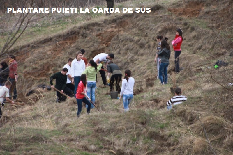 PRONATURA 2012 - ,,Mai bine pentru mediu, mai bine pentru sanatatea noastra''