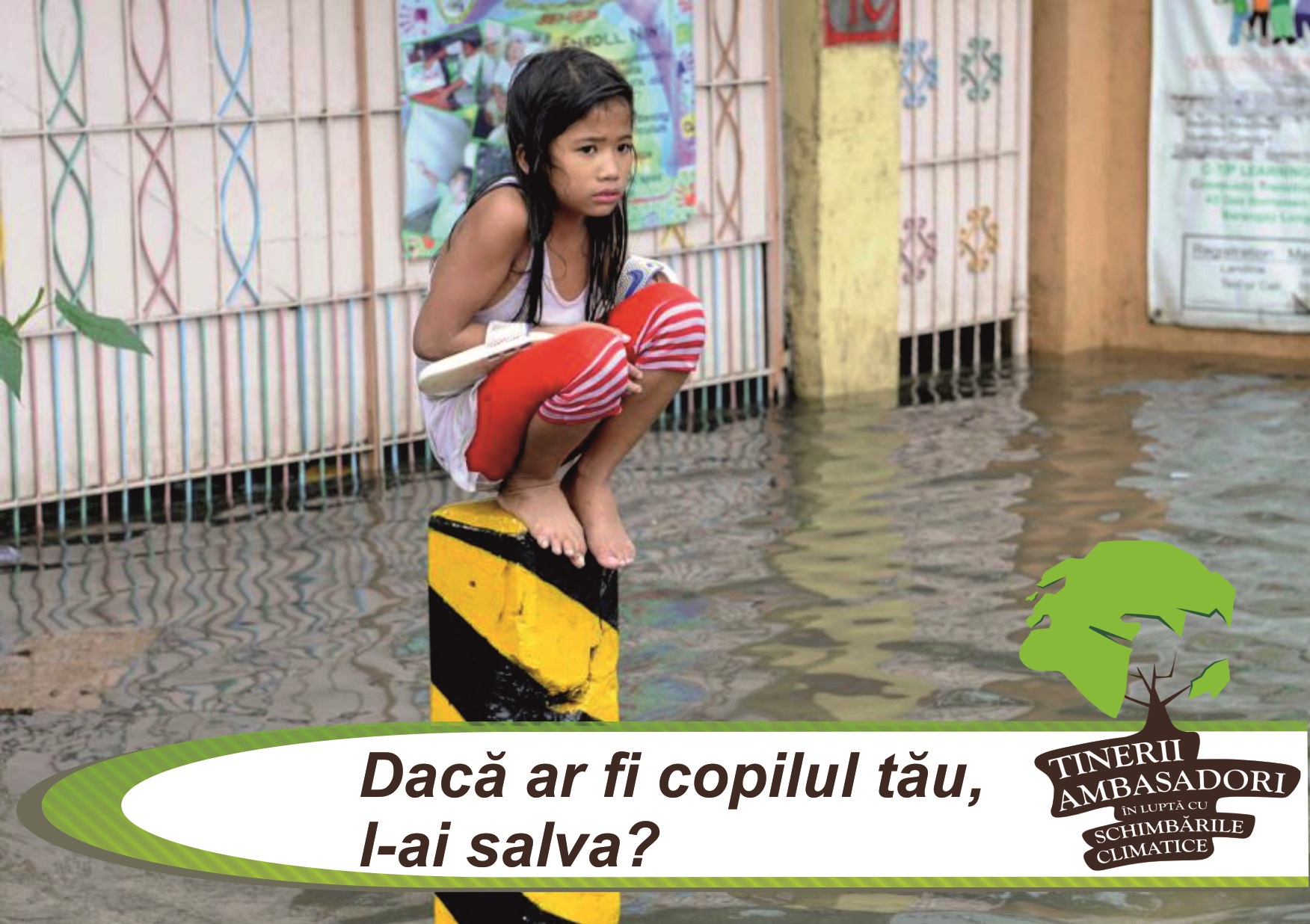 Tinerii ambasadori in lupta cu schimbarile climatice