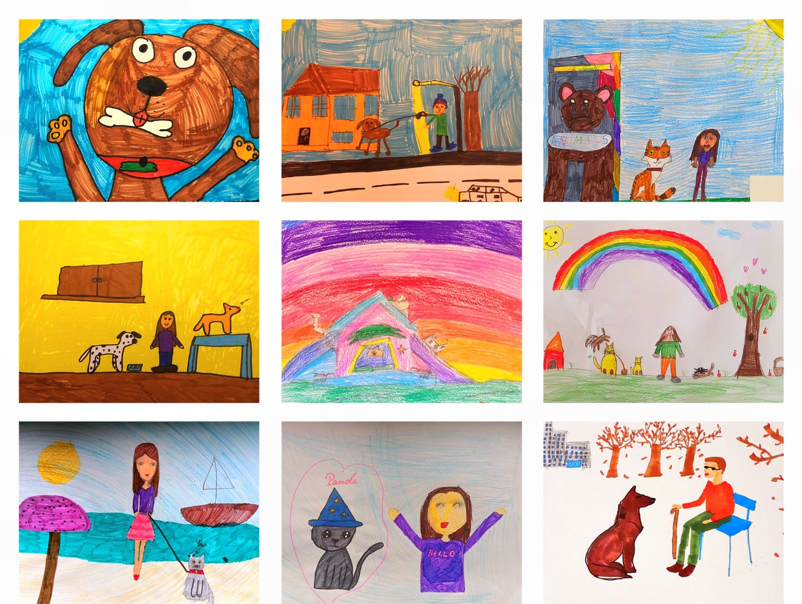 Programul național educațional extracurricular Pet School / "Oameni, căini și pisici, mai buni impeuna!"