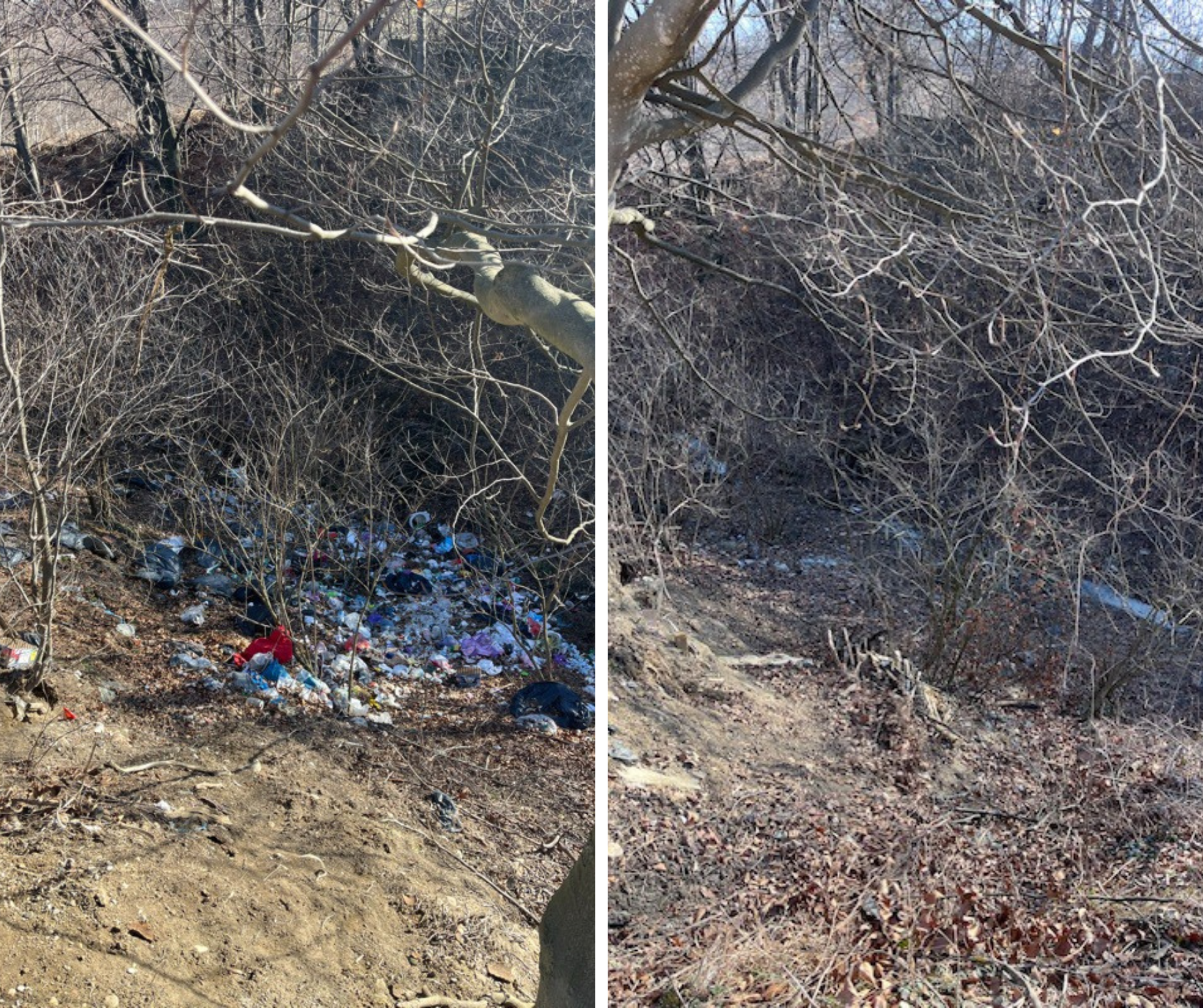 Aplicația Let's Do It, Romania!