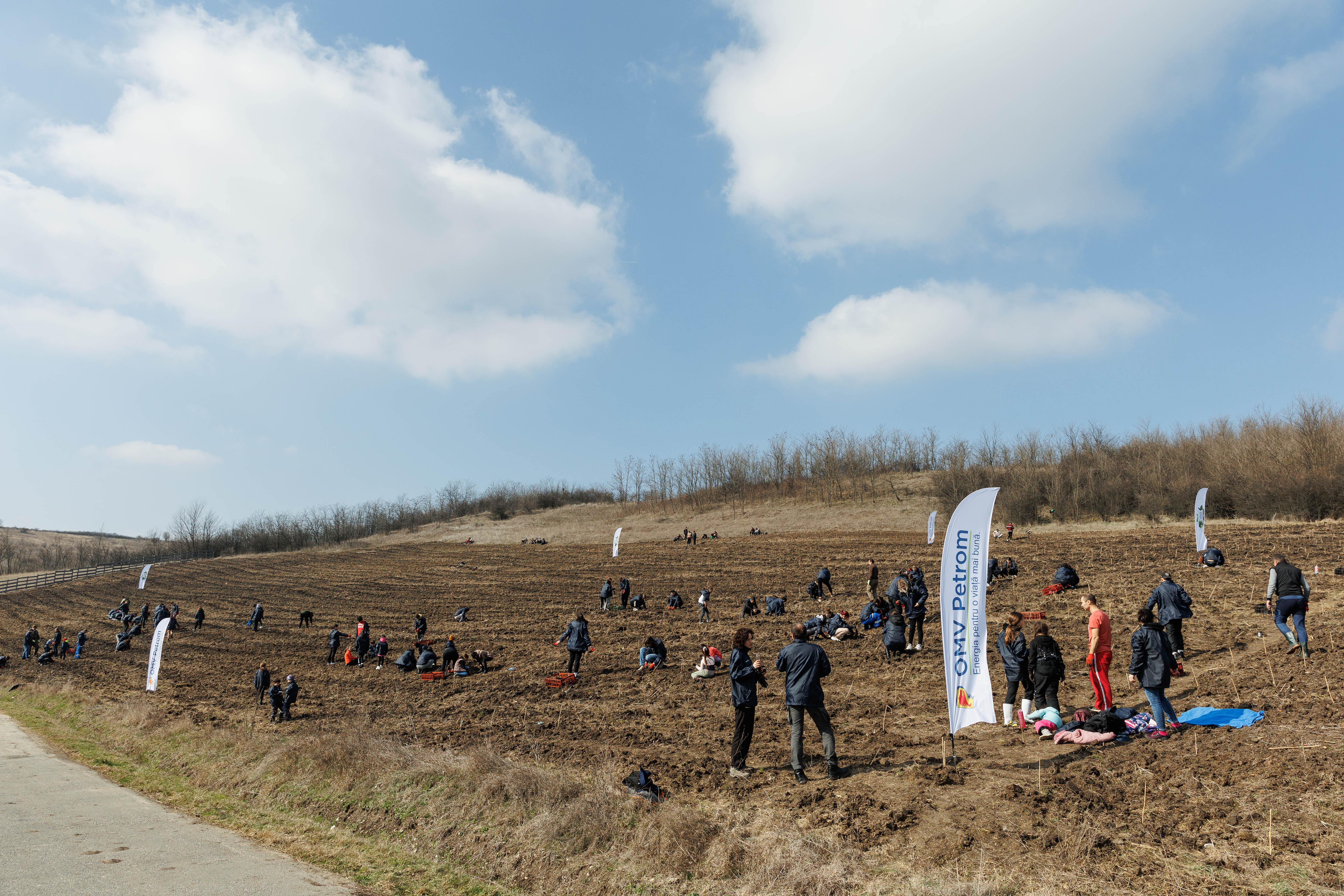 Studenții Plantează