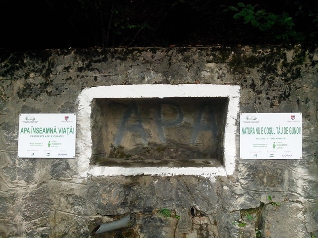 Un colt de rai pe Valea Iadului. Prima ecologizare in cadrul proiectului Omul REinverzeste locul