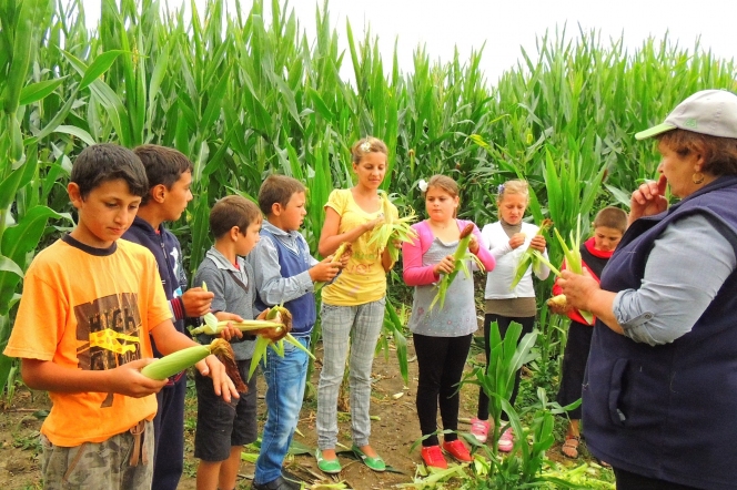 Ferma Agrovision – o experienta de neuitat