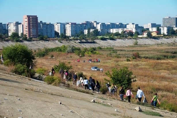 Parcul Natural Vacaresti. O oaza in desertul de beton