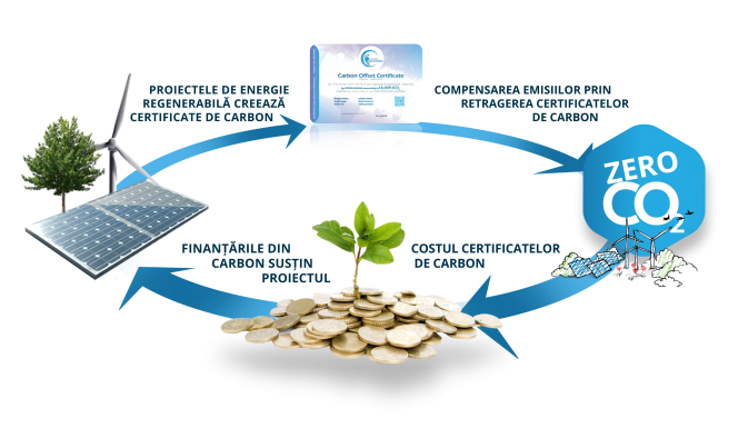 Primele certificate de carbon din proiecte de impadurire vor fi emise de Asociatia MaiMultVerde si Carbon Solutions Global