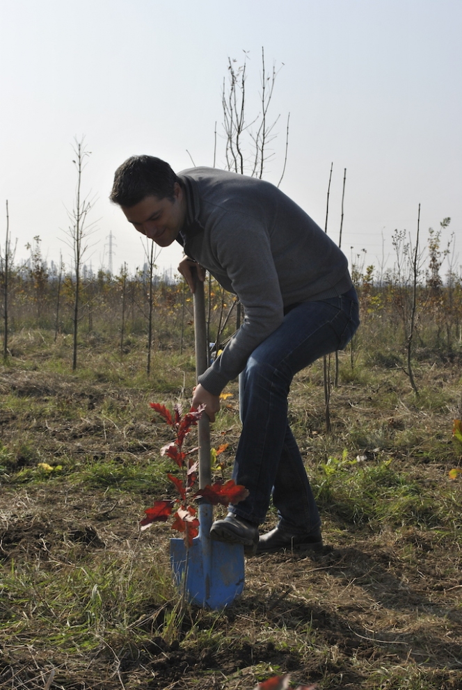 Voluntarii MaiMultVerde au plantat 2.000 de puieti in Ploiesti