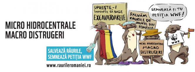 Raurile de munte: ultima sansa // WWF Romania