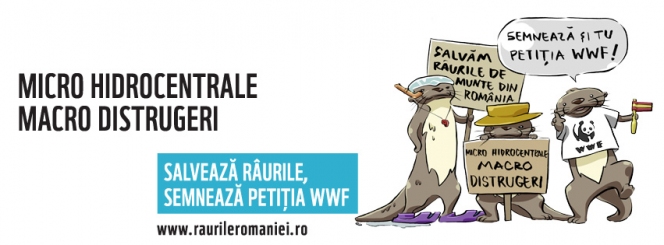 Raurile de munte: ultima sansa // WWF Romania