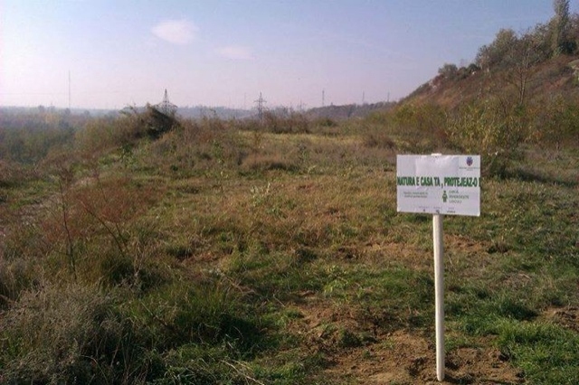 Rezultatele campaniei “Omul REinverzeste locul”