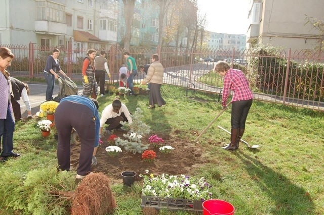 Rezultatele campaniei “Omul REinverzeste locul”