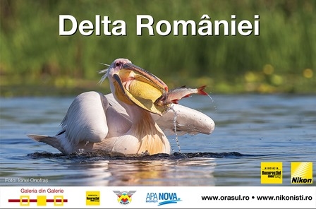 Asociatia Bucurestiul meu drag va invita la Expozitia cu Delta Romaniei