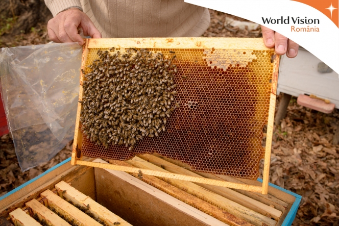 Fundatia World Vision Romania a instruit 100 de fermieri din comunele Dumesti, Todiresti si Rafaila pentru a deveni apicultori
