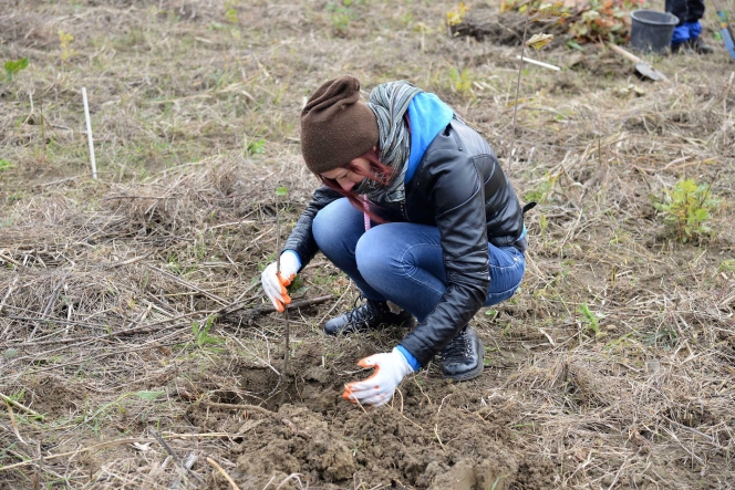 7.000 de puieti de stejar, frasin si paltin au fost plantati la Ploiesti de voluntarii Asociatiei MaiMultVerde