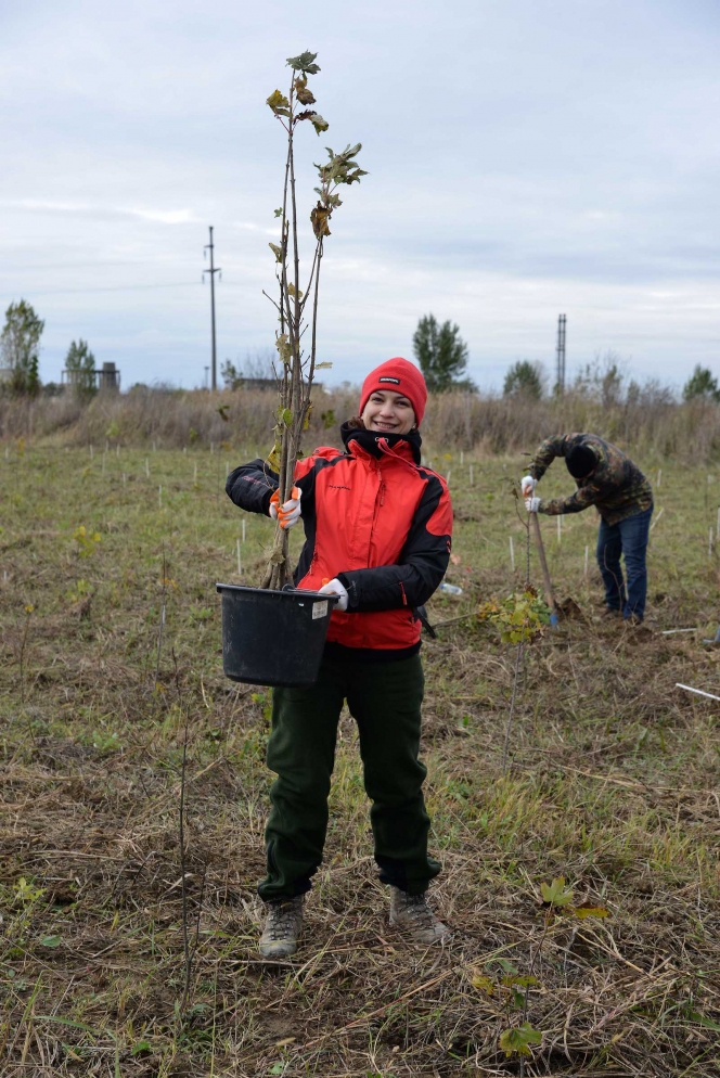 7.000 de puieti de stejar, frasin si paltin au fost plantati la Ploiesti de voluntarii Asociatiei MaiMultVerde