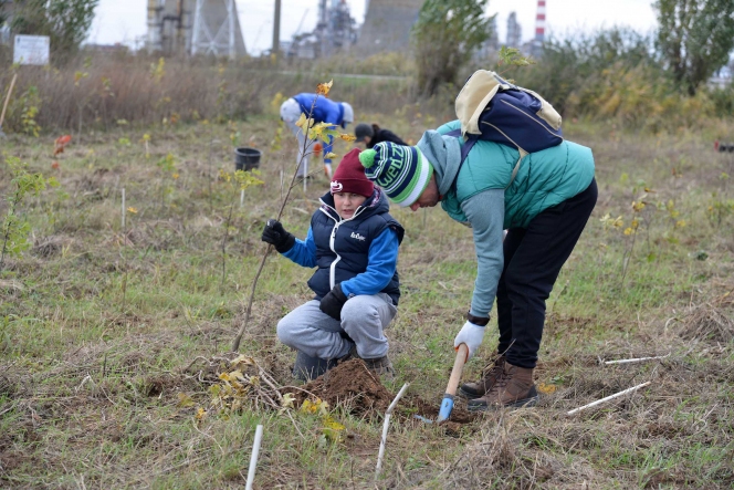 7.000 de puieti de stejar, frasin si paltin au fost plantati la Ploiesti de voluntarii Asociatiei MaiMultVerde