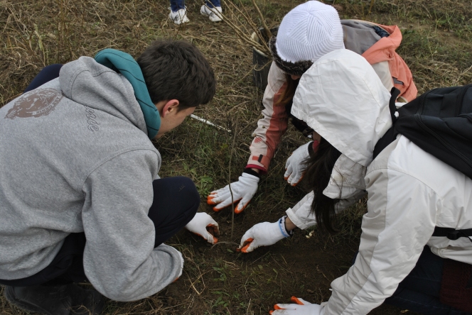 7.000 de puieti de stejar, frasin si paltin au fost plantati la Ploiesti de voluntarii Asociatiei MaiMultVerde