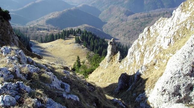 KOGAYON: ROMANIA CA UN PARC