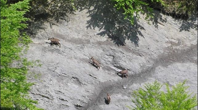 KOGAYON: ROMANIA CA UN PARC