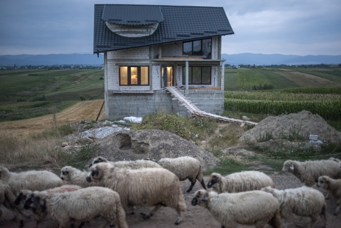 Mandrie si Beton // Ioana si Petrut Calinescu // Premiul I // Arta si Cultura // GSC 2014