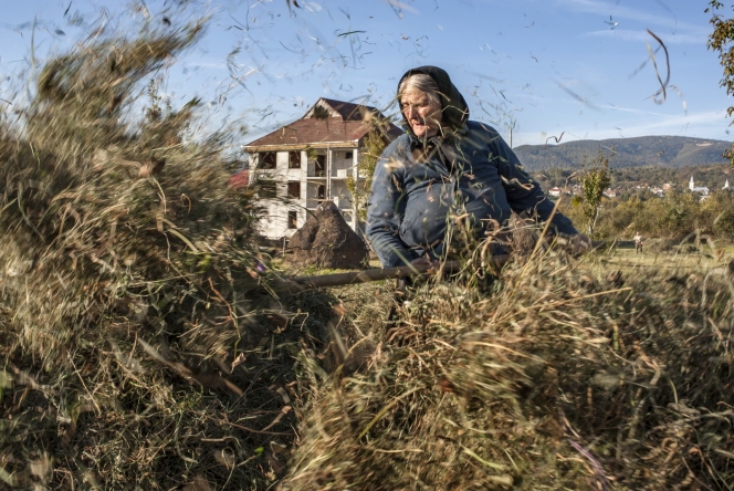 Mandrie si Beton // Ioana si Petrut Calinescu // Premiul I // Arta si Cultura // GSC 2014