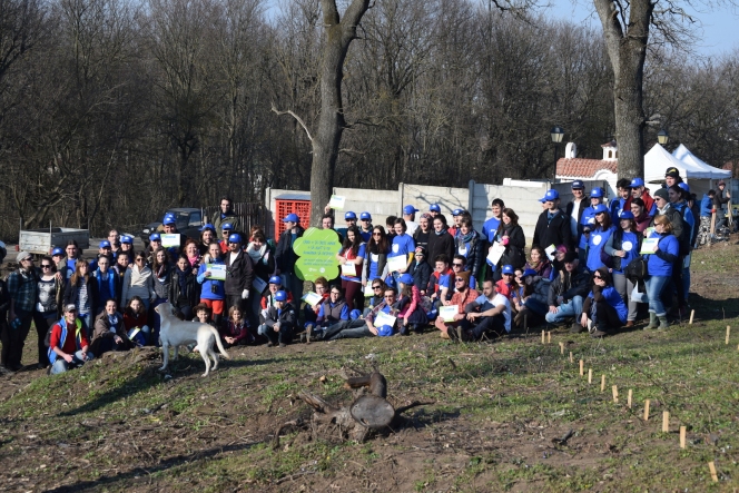 Voluntarii MaiMultVerde si Saint-Gobain Rigips au plantat 5.000 de copaci in Parcul Natural Comana