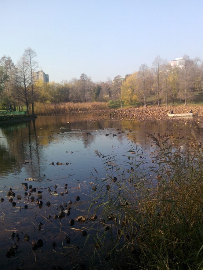 Locuitorii cartierului Lacul Tei lupta pentru Parcul Circului // Grupul de Initiativa Civica Lacul Tei // Premiul I Proiecte si campanii de VOLUNTARIAT // GSC 2014