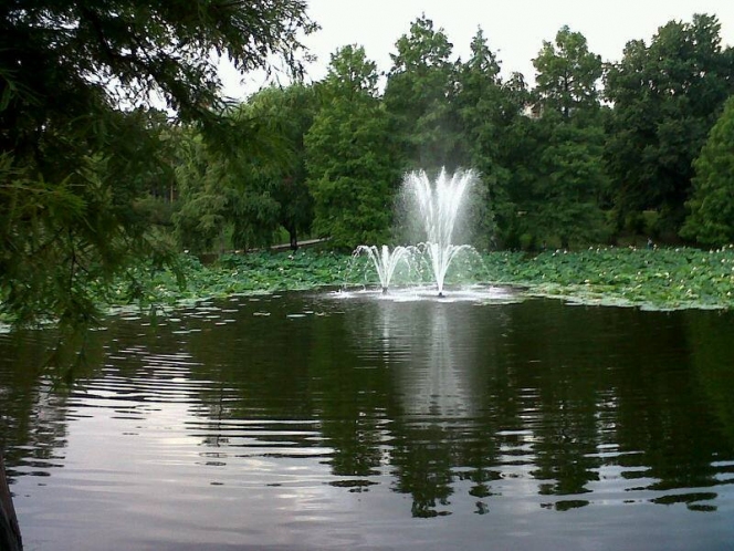 Locuitorii cartierului Lacul Tei lupta pentru Parcul Circului // Grupul de Initiativa Civica Lacul Tei // Premiul I Proiecte si campanii de VOLUNTARIAT // GSC 2014