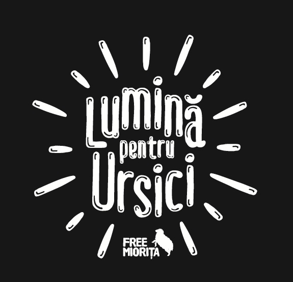 Lumina pentru Ursici // Asociatia Free Miorita // Premiul I Dezvoltare economica si sociala // GSC 2014